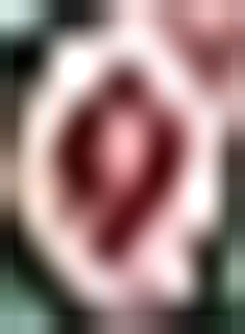 GGOOT 2pcs Gemengde Kleur Dahlia Bollen Familie Meerjarige Ingemaakte Snijbloemen Geweldige keuze voor Indoor Home Decor Weinig onderhoud Snel groeiend Gemakkelijk te verzorgen - Image 1