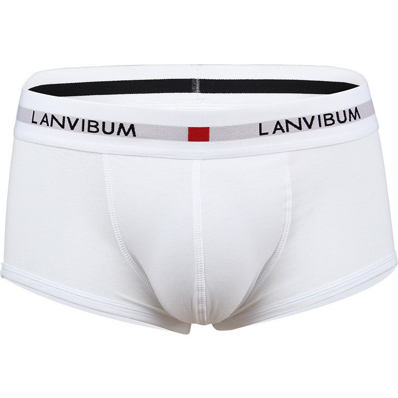 Spot wholesale LANVIBUM mens underwear youth U convex low waist cotton boxers solid color large size mens underpants White - Image 1
