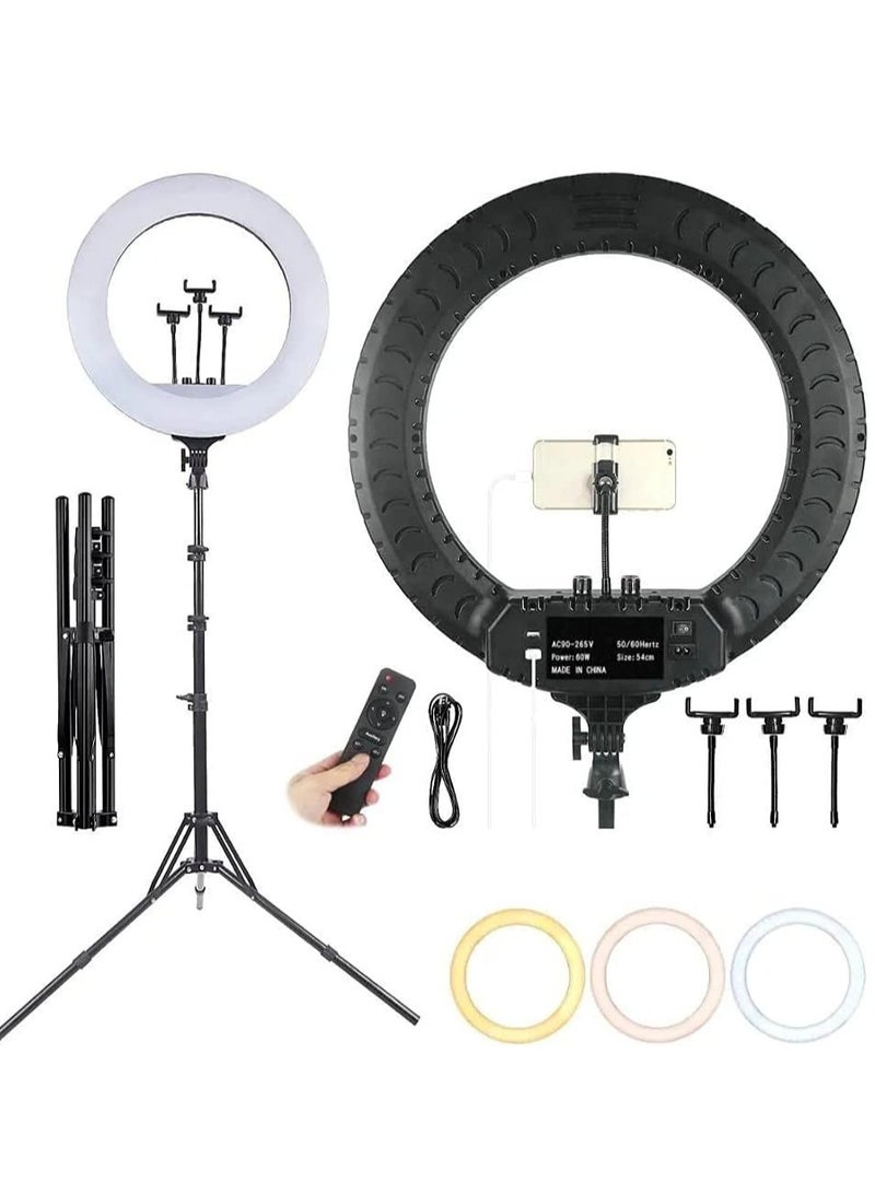 RL 21 LED Soft Ring Light with 3 Mobile Phone Holder 3 Mode Light With Ring Light Tripod Stand - Image 2