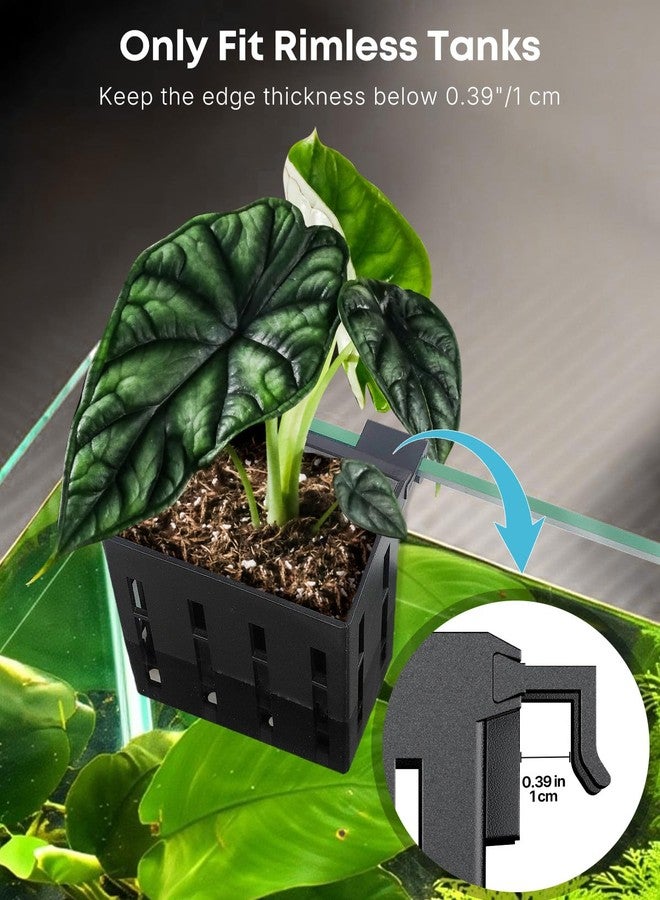 باوفلي حامل نباتات حوض السمك الأسود من باوفلاي، 4 قطع، وعاء نباتات بلاستيكي معلق لحوض السمك لتزيين أحواض السمك - Image 3