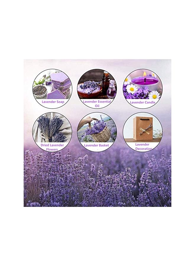 The Bros Lavender Dried flowers For home decoration 1 bunch 100-150 Stems 100% Natural Dried Lavender - Image 4