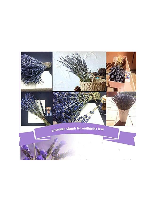 The Bros Lavender Dried flowers For home decoration 1 bunch 100-150 Stems 100% Natural Dried Lavender - Image 3