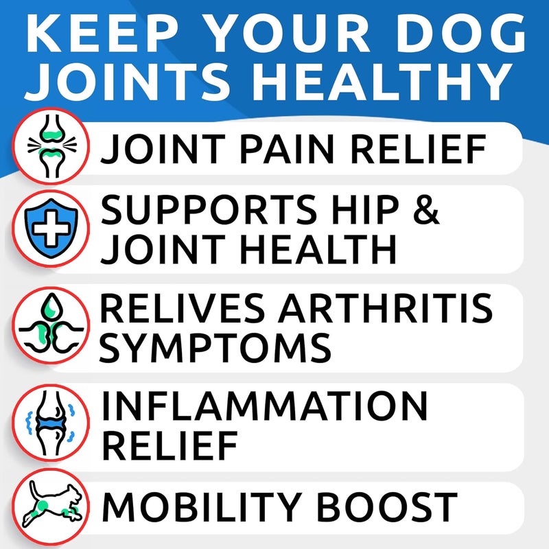 BARK&SPARK مكمل بارك آند سبارك السائل من الكولاجين والجلوكوزامين للكلاب - 16 أونصة سائلة سهل التقديم - تركيبة متقدمة مع الكوندرويتين وMSM لدعم مفاصل الورك والعناية بالجلد والفراء - صنع في الولايات المتحدة الأمريكية - Image 2