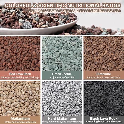 NUPICK 6lb Mix Horticultural Lava Rocks for Plants, 3/8" Colorful Succulent Potting Soil Amendments, Decorative Gravel for Cactus, Bonsai Gritty Rock, Pebbles Pumice for Vase Fillers, Top Dressing - Image 2