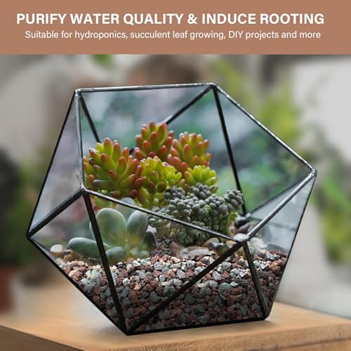 NUPICK 6lb Mix Horticultural Lava Rocks for Plants, 3/8" Colorful Succulent Potting Soil Amendments, Decorative Gravel for Cactus, Bonsai Gritty Rock, Pebbles Pumice for Vase Fillers, Top Dressing - Image 5