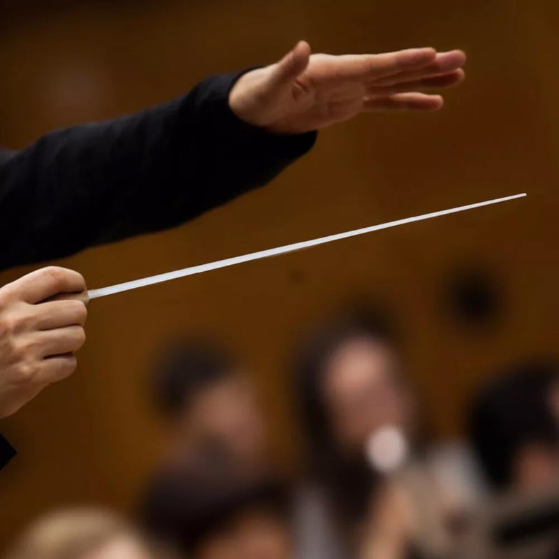 Softline Pro Professional Orchestra Conductor Baton Concert Conducting Stick with Handle (SP MCBS Resin) - Image 4
