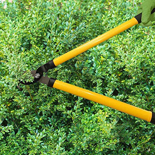 Centurion 1222 3-Piece Lopper, Hedge Shear & Pruner Combo Set, Heavy Duty Tree, Shrub & Bush Care Kit for Lawn, Garden & Yard, Ideal for Indoor & Outdoor Gardening, Branch Cutting & Plant Trimming - Image 5