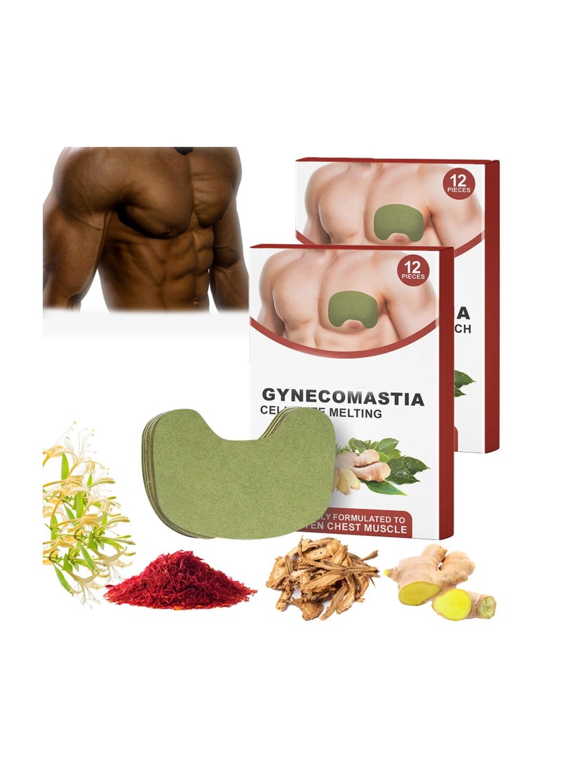 SYOSI - Turmericmax Gynecomastia Chest Compression Patch, Men's Gynecomastia Firming Ginger Patch,  Tightening Chest Muscles with Natural Ingredients, Shrinks Men Chest Tightening Ginger Patch (2 Set) - Image 1