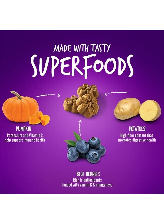 Fruitables - Fruitables Pumpkin & Blueberry Crunchy Dog Treats, 7oz Pouch (Pack of 6) - Image 1