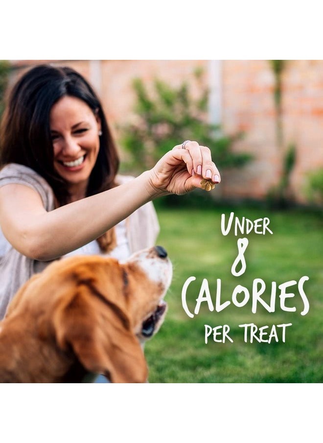 Fruitables - Fruitables Pumpkin & Blueberry Crunchy Dog Treats, 7oz Pouch (Pack of 6) - Image 1