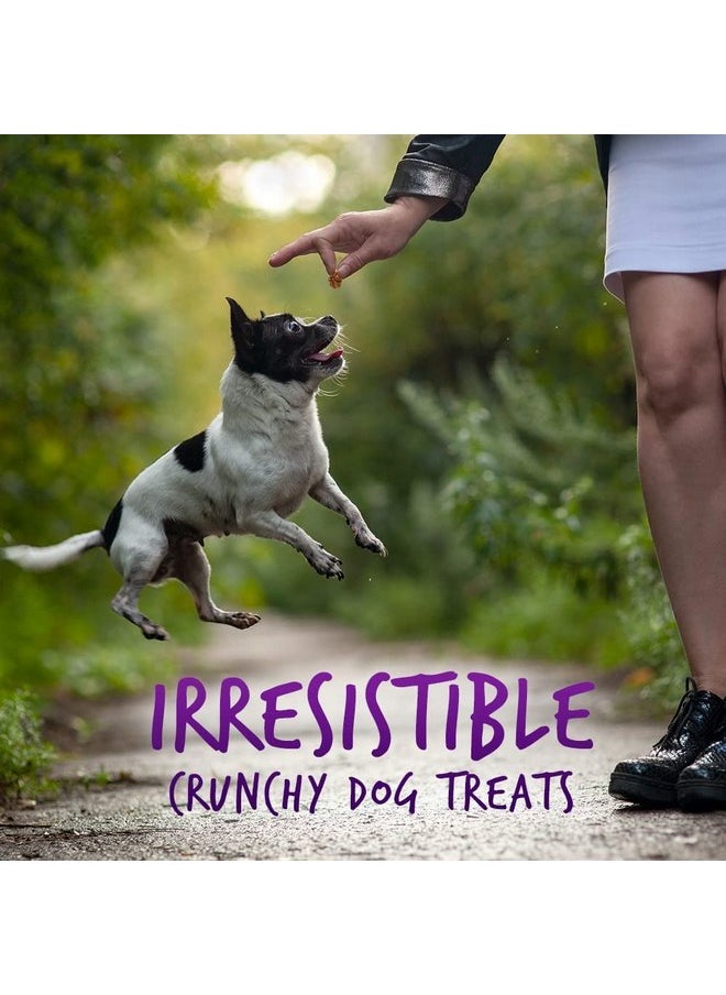 Fruitables - Fruitables Pumpkin & Blueberry Crunchy Dog Treats, 7oz Pouch (Pack of 6) - Image 1
