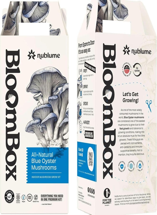 NuBlume Blue Oyster Mushroom Grow Kit - Ready-to-Fruit Indoor DIY Mushroom Kit - Grow Mushrooms at Home in 7-10 Days - Easy Gourmet Umami - Culinary Grade - BloomBox Promise - Image 2
