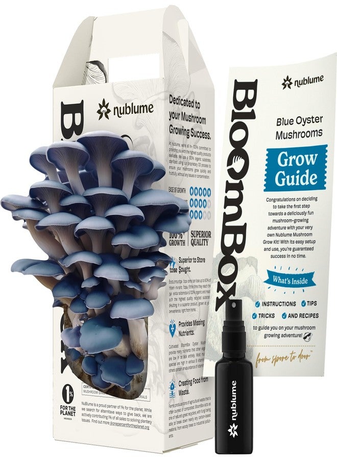 NuBlume Blue Oyster Mushroom Grow Kit - Ready-to-Fruit Indoor DIY Mushroom Kit - Grow Mushrooms at Home in 7-10 Days - Easy Gourmet Umami - Culinary Grade - BloomBox Promise - Image 1
