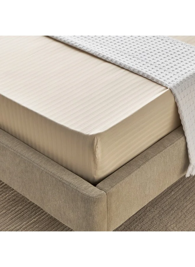 Home Box Hamilton Satin Stripe Twin Fitted Sheet 120 x 200 x 36 cm