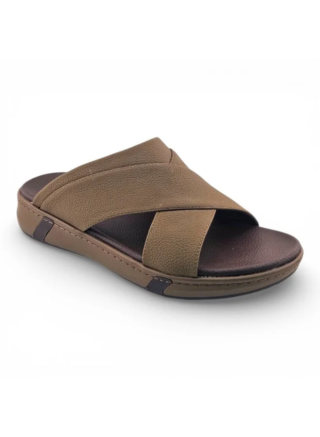 الفانوس مخمل