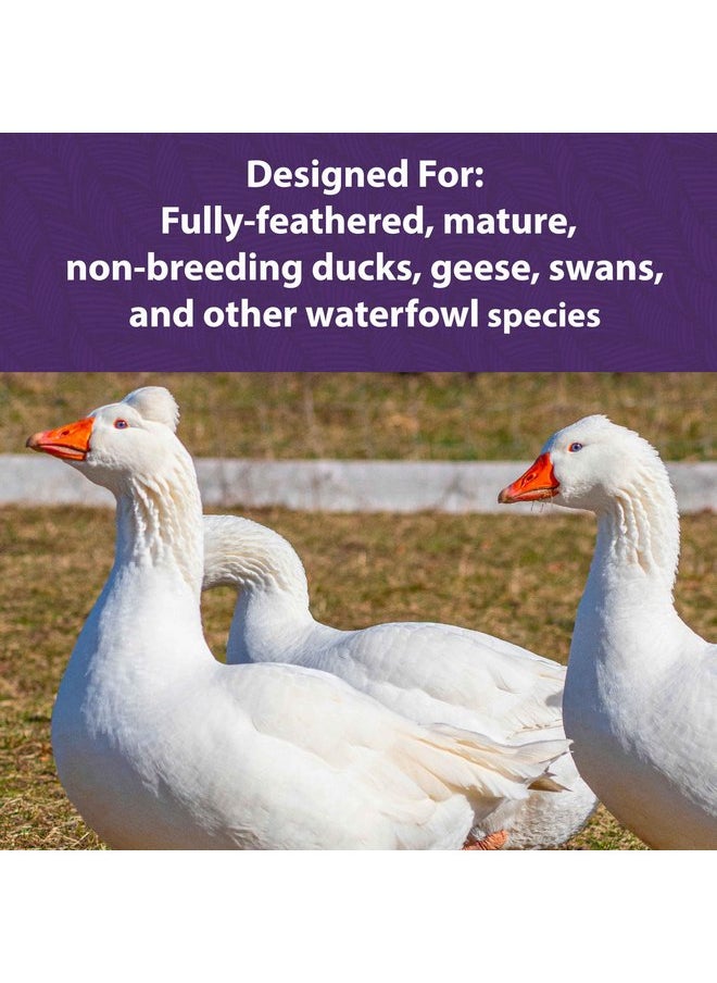 Mazuri - Mazuri Waterfowl Maintenance Food for Ducks & Geese | 5 Pound (5 LB) Bag - Image 1