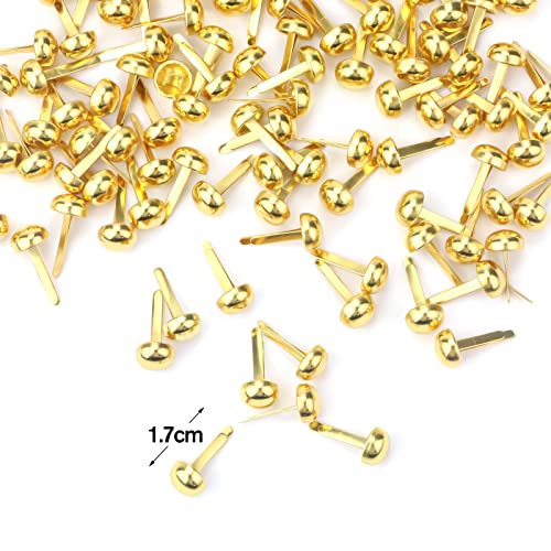 Bercoor 200 Pieces Paper Fasteners Brads, Round Metal Paper Brass Fasteners Brads for Paper Crafts, Decorative Scrapbooking, DIY Art School Project Supplies, 8 x 17mm (Golden) - Image 2