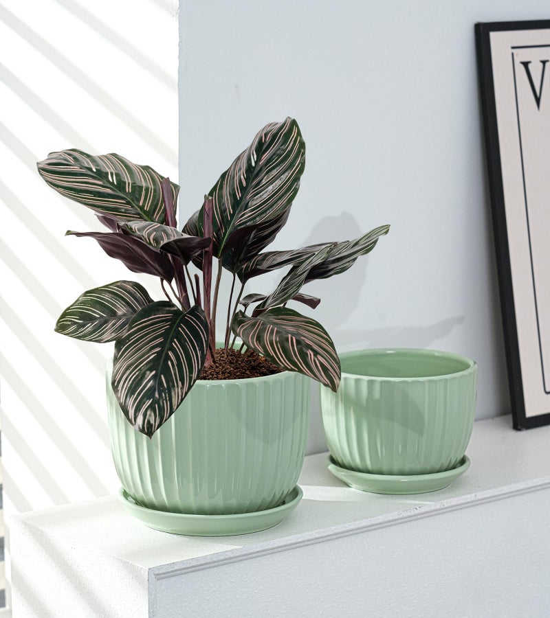 Ton Sin Flower Pots, Light Green Ceramic Plant Pots Set of 3,Small Glazed Succulent Pots with Drainage Hole,Cactus Planter with Saucer,Outdoor Garden Pots (Green) - Image 2