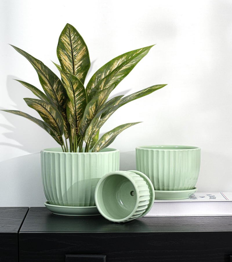 Ton Sin Flower Pots, Light Green Ceramic Plant Pots Set of 3,Small Glazed Succulent Pots with Drainage Hole,Cactus Planter with Saucer,Outdoor Garden Pots (Green) - Image 3