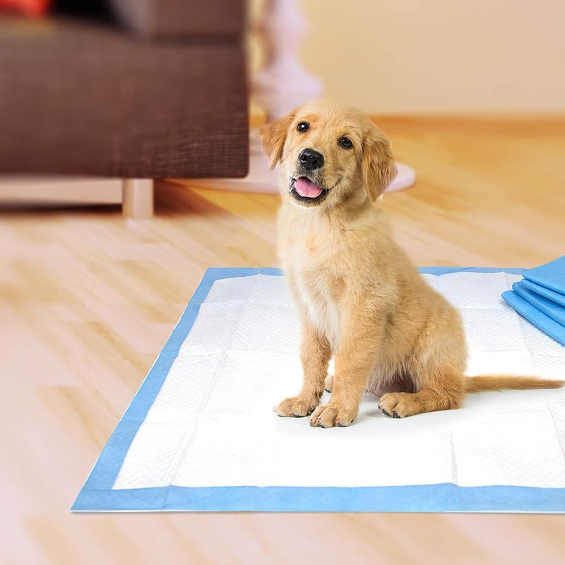 four paws Pet Select Pee Pee Pads for Dogs and Puppies 100 Count Standard: 22" x 22" - Image 5