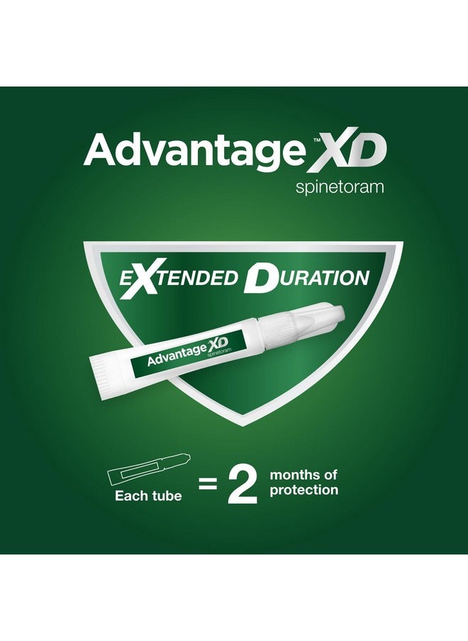 أدفنتاج Xd Large Cat Flea Prevention & Treatment للقطط التي يزيد وزنها عن 9 أرطال | جرعتان موضعيتان، حماية لمدة شهرين لكل جرعة  - Image 3