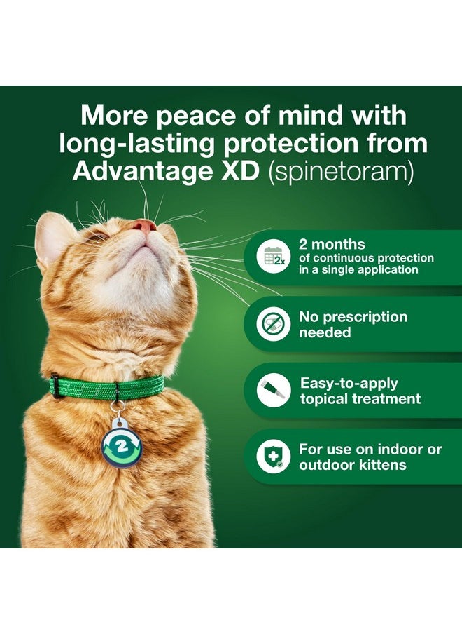 أدفنتاج Xd Large Cat Flea Prevention & Treatment للقطط التي يزيد وزنها عن 9 أرطال | جرعتان موضعيتان، حماية لمدة شهرين لكل جرعة  - Image 4