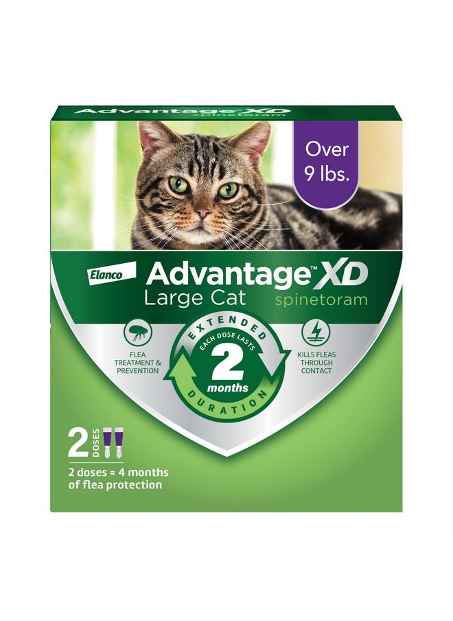 أدفنتاج Xd Large Cat Flea Prevention & Treatment للقطط التي يزيد وزنها عن 9 أرطال | جرعتان موضعيتان، حماية لمدة شهرين لكل جرعة  - Image 1