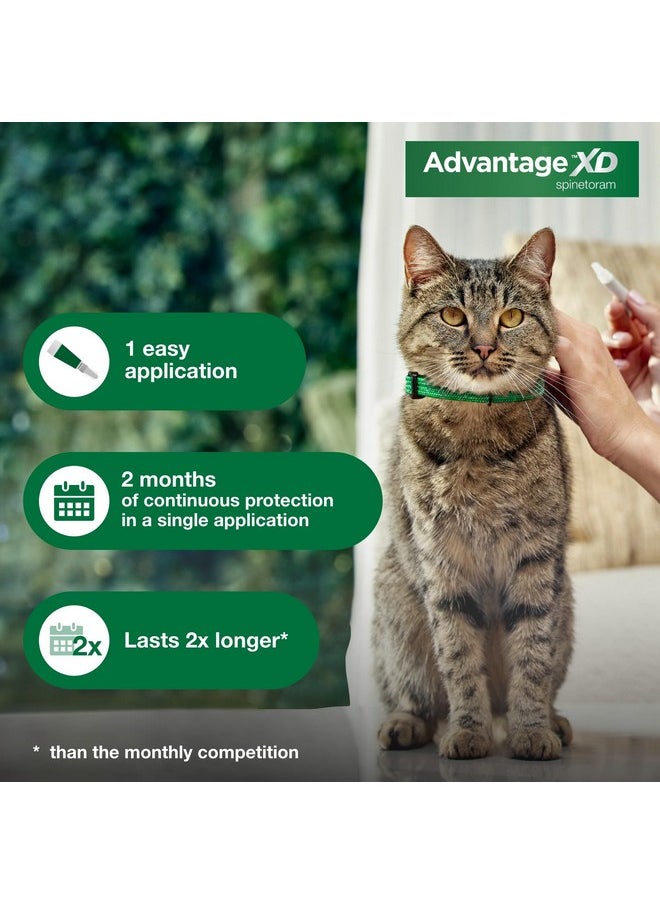 أدفنتاج Xd Large Cat Flea Prevention & Treatment للقطط التي يزيد وزنها عن 9 أرطال | جرعتان موضعيتان، حماية لمدة شهرين لكل جرعة  - Image 5
