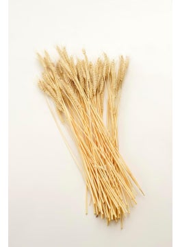 PUREZENTO PUREZENTO Potpourri Unscented Wheat Grass Bleach Set 25 Stems Dried Flower for Home Decoration Office Bedroom Vase Fillers Wedding Farmhouse Side Corner Parties  - Image 4
