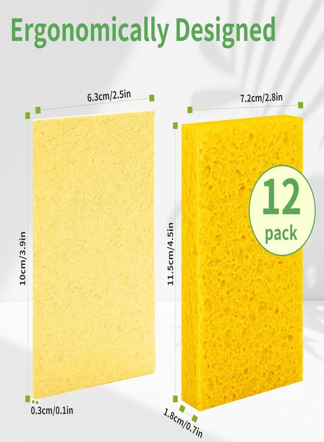 biguphate 12-Pack Kitchen Sponges Compressed Cellulose Sponges Reusable Non-Scratch DIY Cut-Outs Sponges Bulk for Dishes, Countertops, Bathroom, Car & More - Image 2