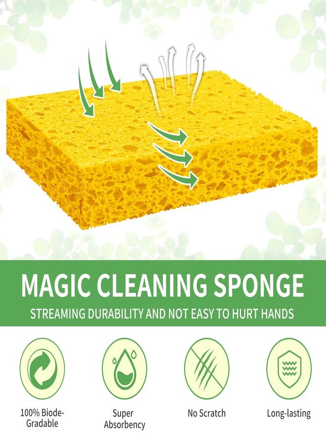 biguphate 12-Pack Kitchen Sponges Compressed Cellulose Sponges Reusable Non-Scratch DIY Cut-Outs Sponges Bulk for Dishes, Countertops, Bathroom, Car & More - Image 4