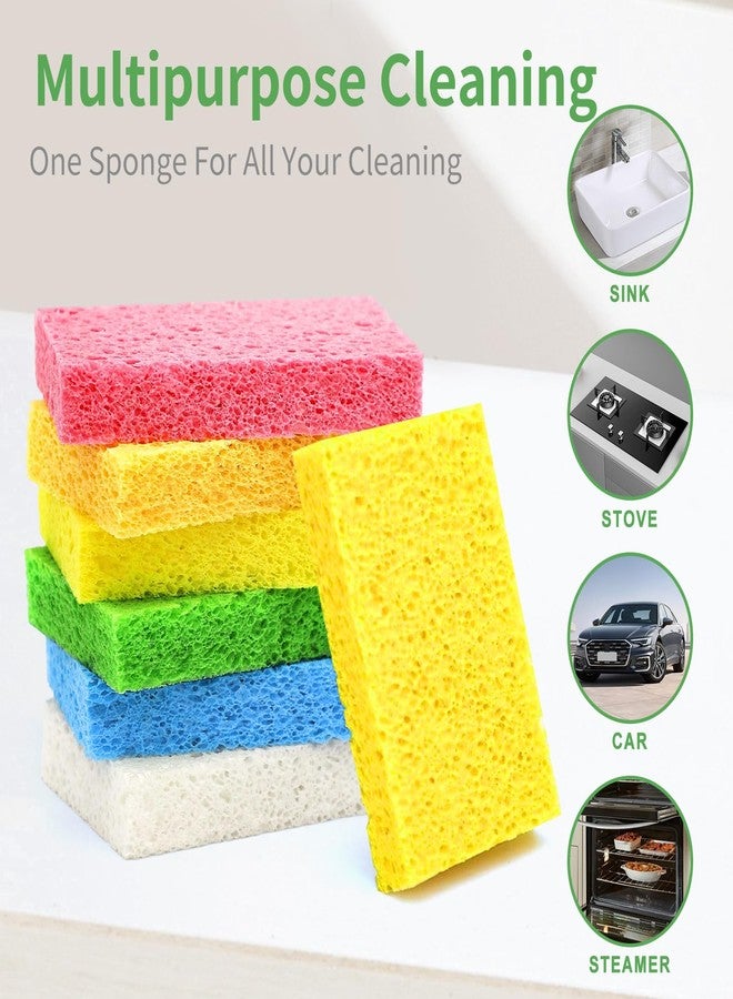 biguphate 12-Pack Kitchen Sponges Compressed Cellulose Sponges Reusable Non-Scratch DIY Cut-Outs Sponges Bulk for Dishes, Countertops, Bathroom, Car & More - Image 5