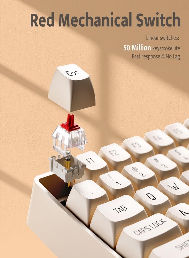 darkFlash Wireless Mechanical Keyboard and Mouse for Office, 106 Keys Full-Size Keyboard and Mouse Combo, Linear Red Switches for Windows/Mac Computer Office Desktop Laptop(GK104) (Milk Tea) - Image 3