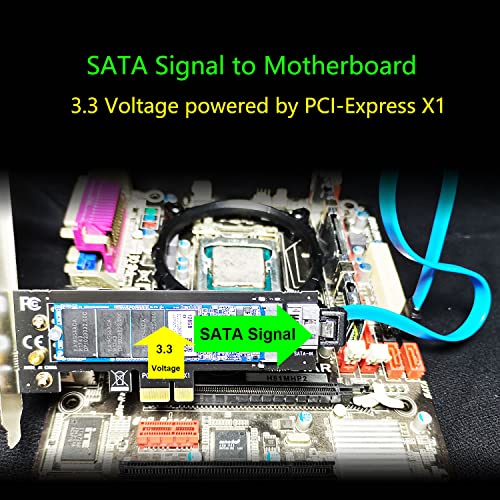 GLOTRENDS PA09-SA M.2 NGFF SATA SSD Adapter - SATA I/II/III, Cable and Screws Included - Image 3