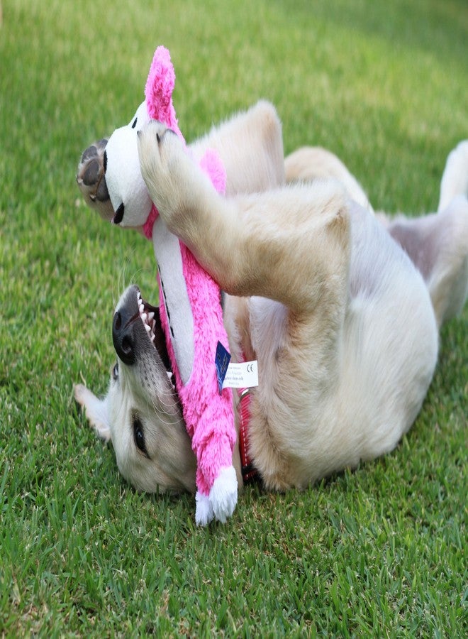 روجز لعبة مضغ ROGZ Thinz للكلاب الصغيرة - ألوان متنوعة - Image 3