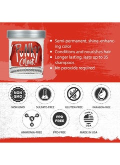 Fire Semi Permanent Conditioning Hair Color, Non-Damaging Hair Dye, Vegan, PPD and Paraben Free, Transforms to Vibrant Hair Color, Easy To Use and Apply Hair Tint, lasts up to 25 washes, 3.5oz - pzsku/Z17DB87C395B9BAEA2E1FZ/45/_/1683828502/7ecde8c0-d169-4a73-bce7-f3df0726fa56