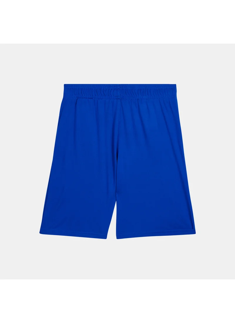 UNDER ARMOUR Kids' UA Prototype 2.0 Logo Shorts