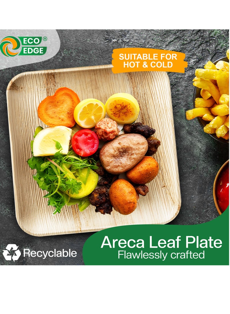 EcoEdge 8 Inch Square Areca Palm Leaf Disposable Plates (Pack of 25) | Fully Compostable, Organic, Biodegradable, Eco-Friendly and Nature-made | Disposable Plates for Snacks and Meals | 100% Sustainable - Image 2