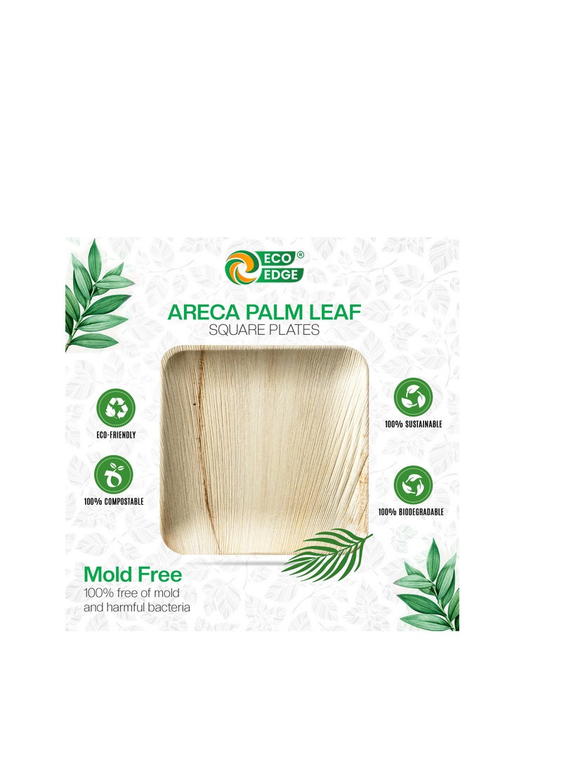 EcoEdge 8 Inch Square Areca Palm Leaf Disposable Plates (Pack of 25) | Fully Compostable, Organic, Biodegradable, Eco-Friendly and Nature-made | Disposable Plates for Snacks and Meals | 100% Sustainable - Image 3