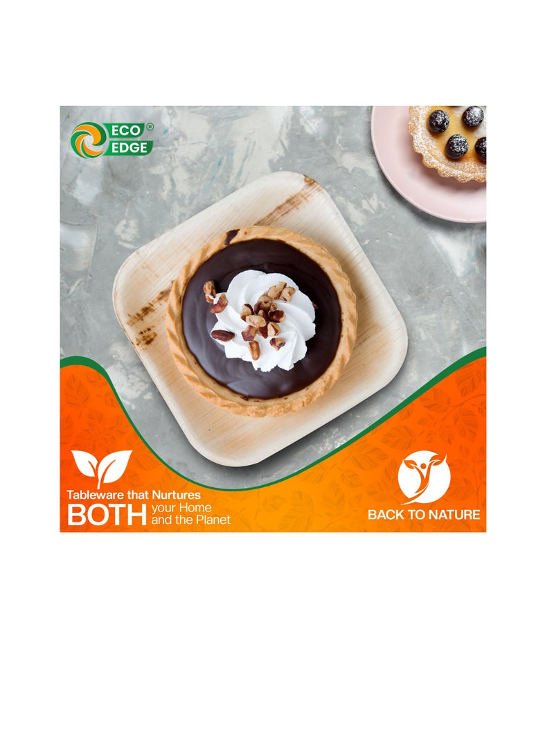 EcoEdge 8 Inch Square Areca Palm Leaf Disposable Plates (Pack of 25) | Fully Compostable, Organic, Biodegradable, Eco-Friendly and Nature-made | Disposable Plates for Snacks and Meals | 100% Sustainable - Image 4