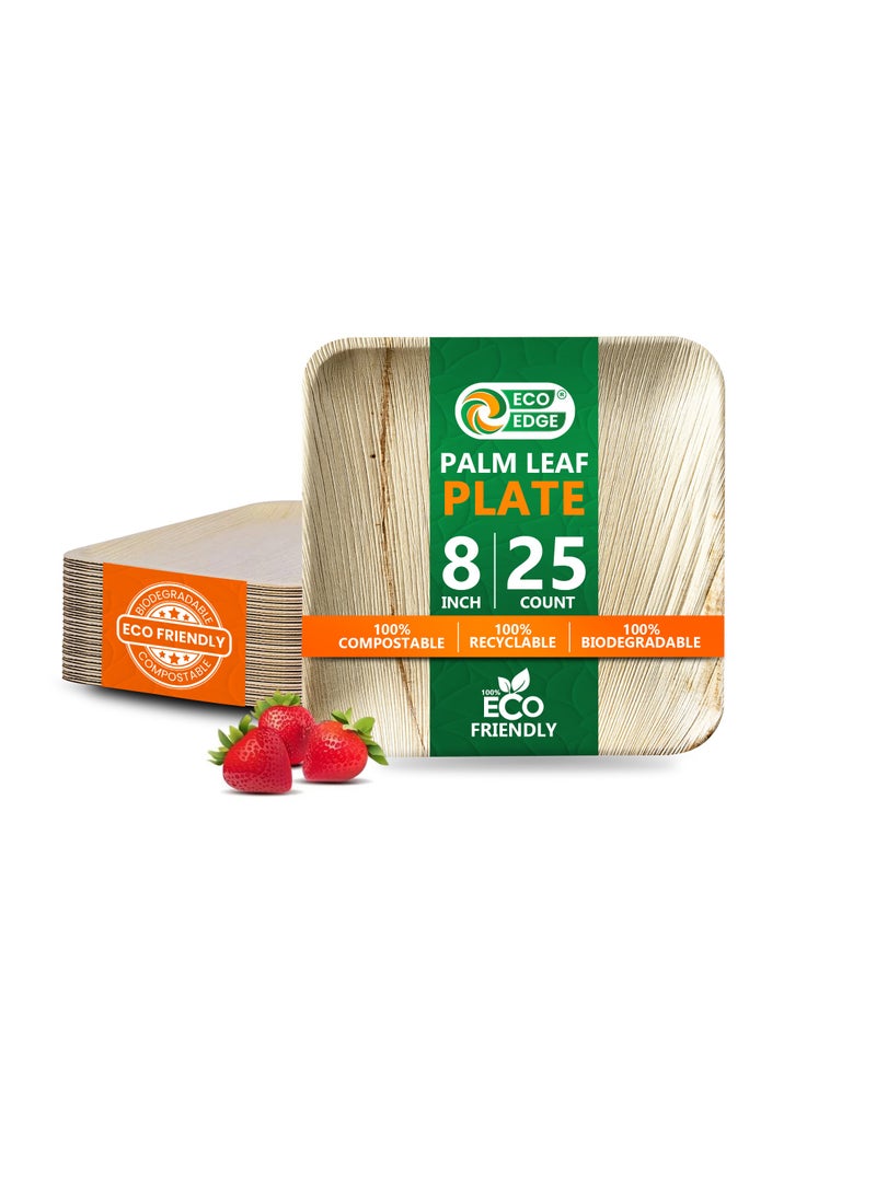 EcoEdge 8 Inch Square Areca Palm Leaf Disposable Plates (Pack of 25) | Fully Compostable, Organic, Biodegradable, Eco-Friendly and Nature-made | Disposable Plates for Snacks and Meals | 100% Sustainable - Image 1
