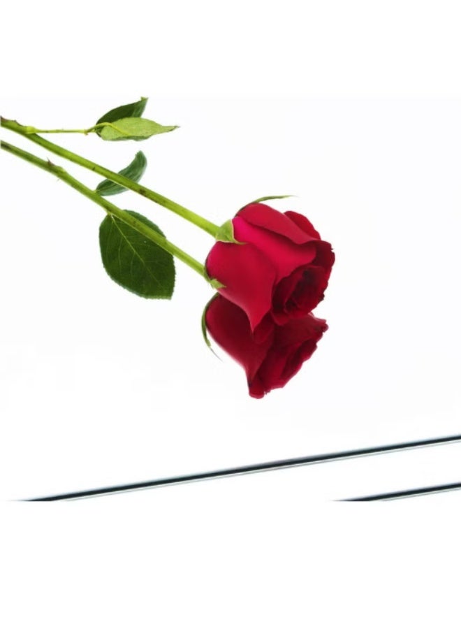 Arabest Full Length Mirror Tiles - 12 Inch x 8Pcs Frameless Wall Mirror Full Body Mirror for Home Gym Vanity Bedroom, Living Room - Image 4