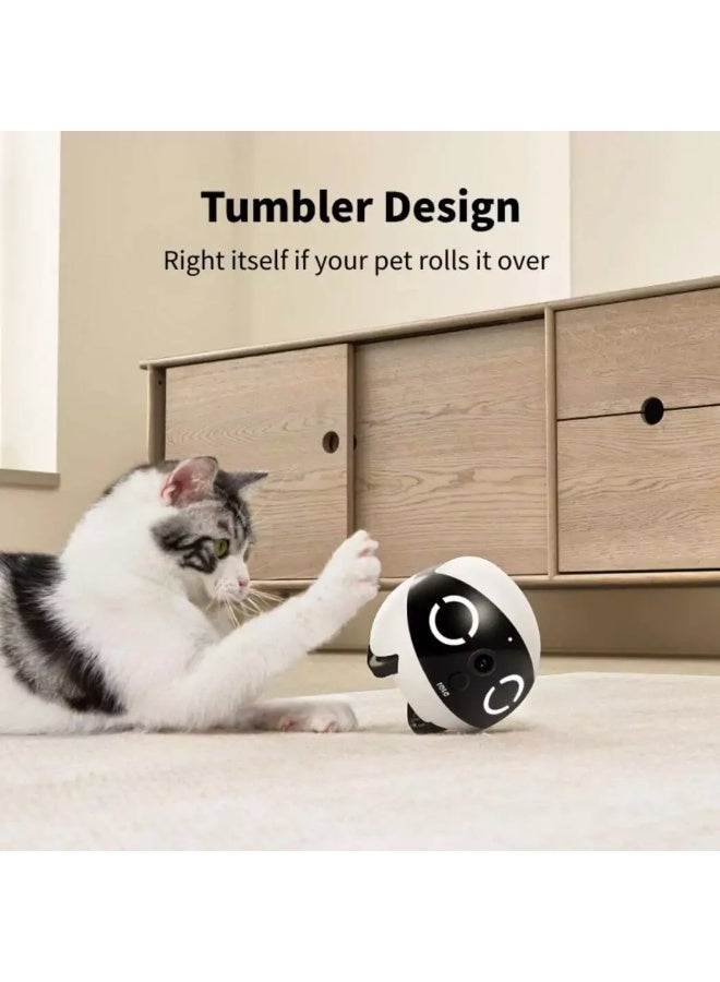 Enabot ROLA Mini Companion Robot with 2K Camera, 5000mAh Battery & Smart Home Monitoring - Image 2