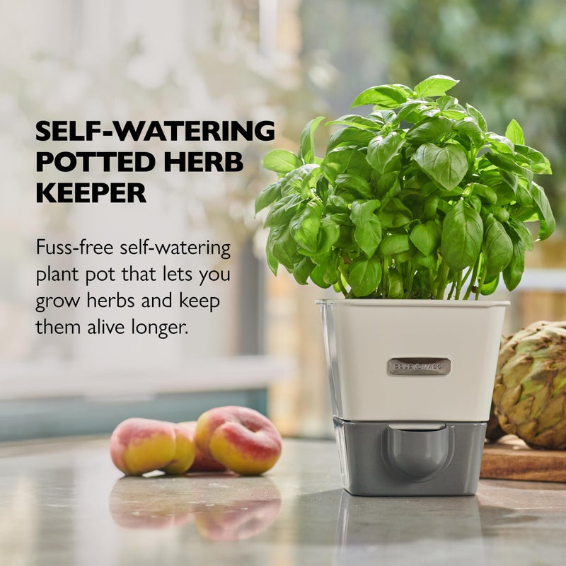 Cole & Mason Self-Water Herb Keeper - Potted Herb Saver with Hydro Pad & Pour Spout - Fresh Herb Keeper for Refrigerator - Herb Storage & Container - Image 2