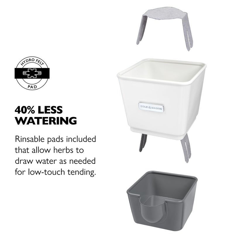 Cole & Mason Self-Water Herb Keeper - Potted Herb Saver with Hydro Pad & Pour Spout - Fresh Herb Keeper for Refrigerator - Herb Storage & Container - Image 3