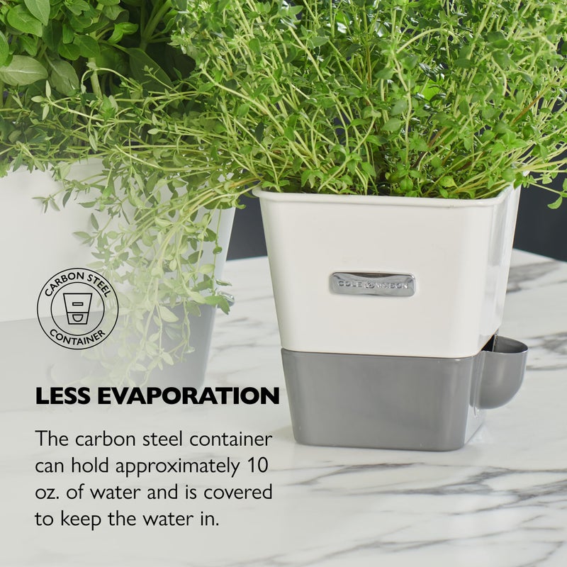 Cole & Mason Self-Water Herb Keeper - Potted Herb Saver with Hydro Pad & Pour Spout - Fresh Herb Keeper for Refrigerator - Herb Storage & Container - Image 4