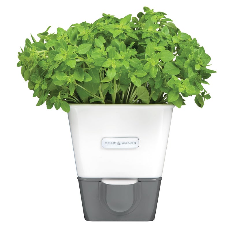Cole & Mason Self-Water Herb Keeper - Potted Herb Saver with Hydro Pad & Pour Spout - Fresh Herb Keeper for Refrigerator - Herb Storage & Container - Image 1