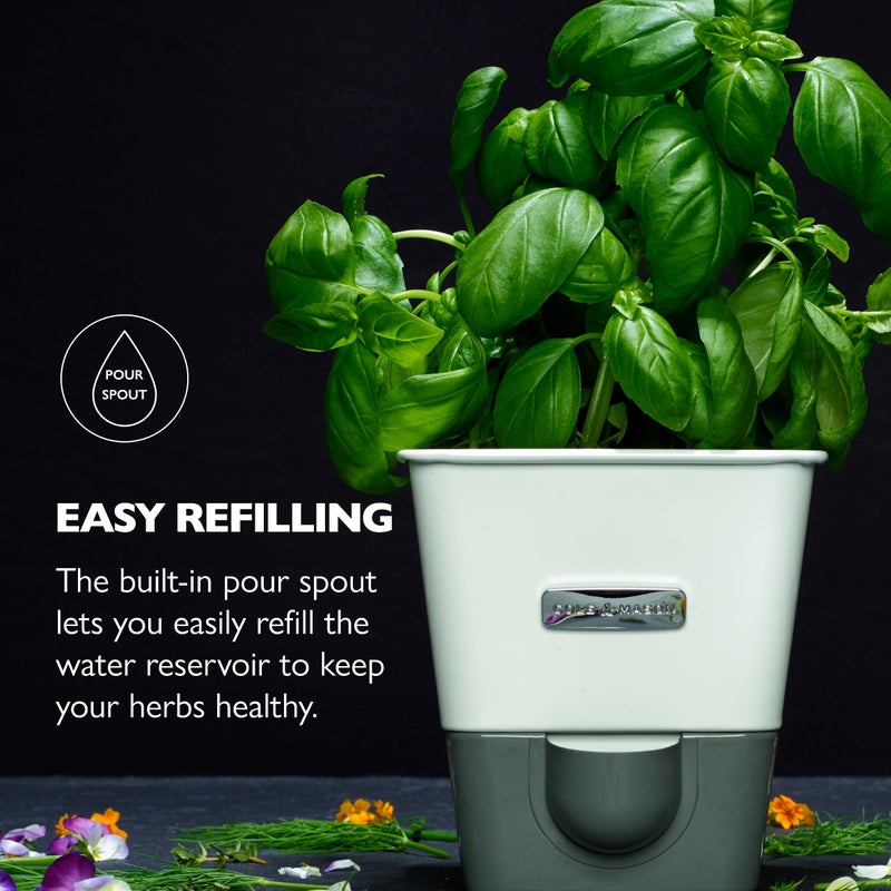 Cole & Mason Self-Water Herb Keeper - Potted Herb Saver with Hydro Pad & Pour Spout - Fresh Herb Keeper for Refrigerator - Herb Storage & Container - Image 5