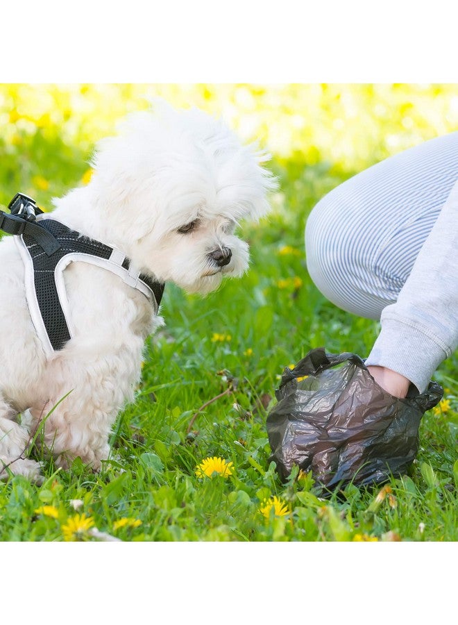 ليزي مي أكياس بلاستيكية من LazyMe مع مقابض وأكياس بضائع صغيرة الحجم وأكياس تسوق بكميات كبيرة وأكياس فضلات الحيوانات الأليفة، 10 × 16 بوصة (أسود 100 قطعة) - Image 5