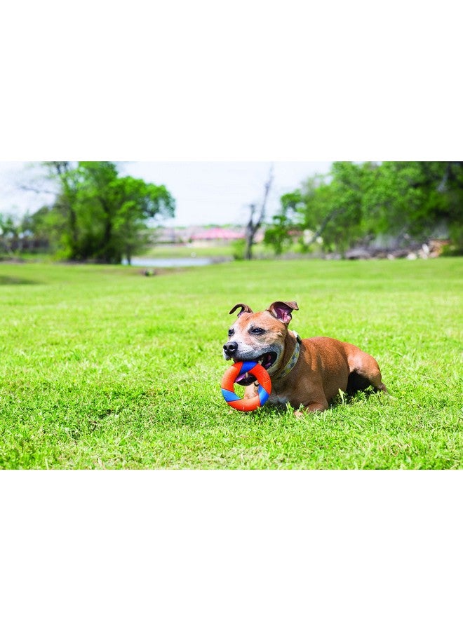 Chuckit! UltraRing Fetch and Chase Outdoor Dog Toy All Breeds - Image 2